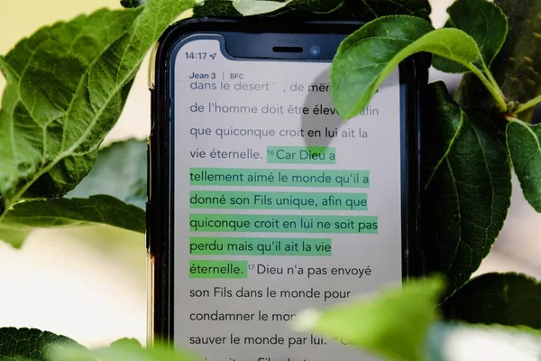 AI helps Italian e-commerce write SEO descriptions and add chatbots