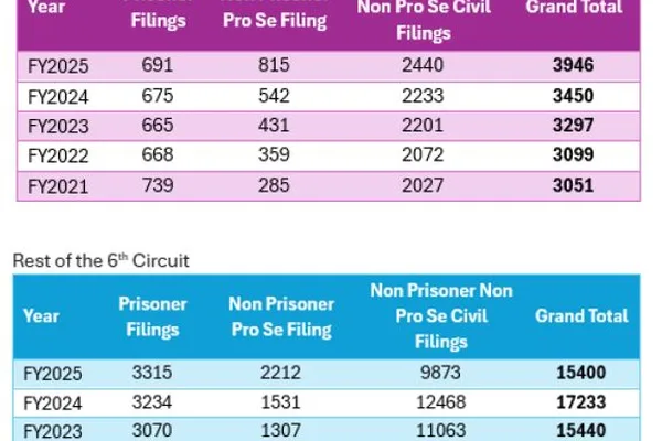 AI-generated filings exacerbate clogged court dockets