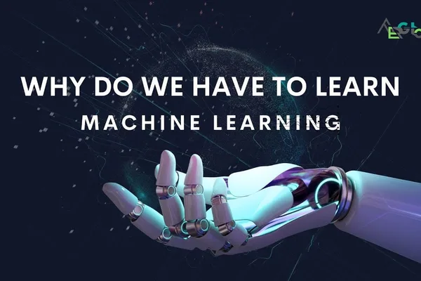Machine Learning Models and Fine-Tuning Techniques Explored