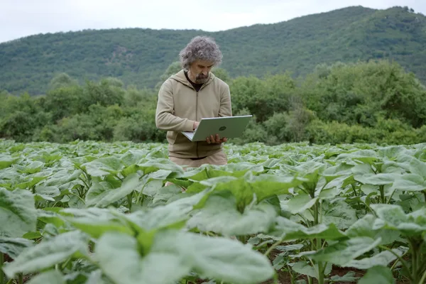 AI in agriculture hindered by data challenges, experts warn