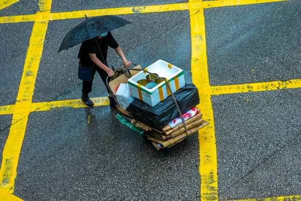 香港圣诞老人行动在2026年申请中出现向系统性转变的趋势