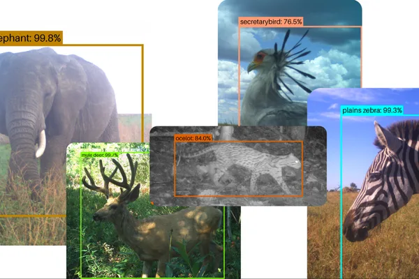 Google's SpeciesNet AI tool aids global wildlife conservation efforts