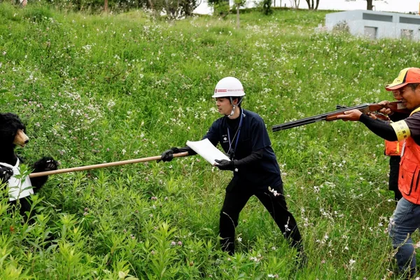 Japanese prefecture uses microchips to manage bear population