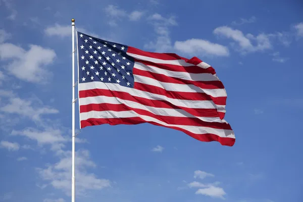 Supporting Science Is An Act Of Patriotism, Forbes Argues