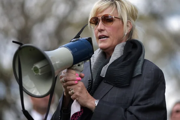 Erin Brockovich tracks AI data center concerns, logs 2,700+ community reports
