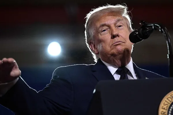 US institutional decay and populism predate Trump, essay argues
