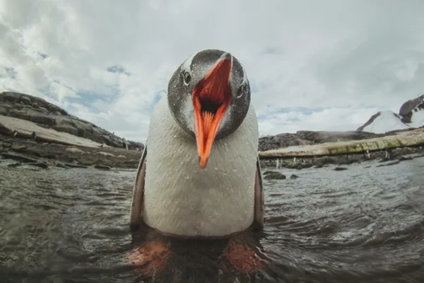 Fragnesia vulnerability grants Linux attackers root access via AI agents
