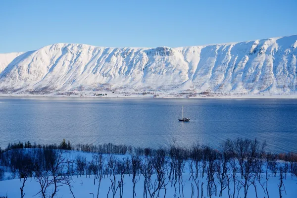 Norway champions microcruises for eco-friendly fjord tourism