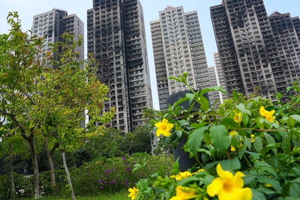 Hong Kong officials testify on deadly Tai Po fire probe
