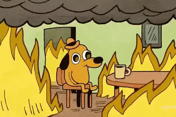 Docker MCP Catalogs mirror internal developer portals for agents
