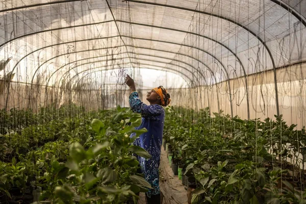Investors double down on clean brands amid regulatory shifts and ingredient innovation