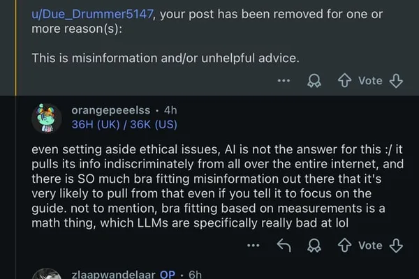 科技专业人士寻求对非科技界人工智能看法的见解