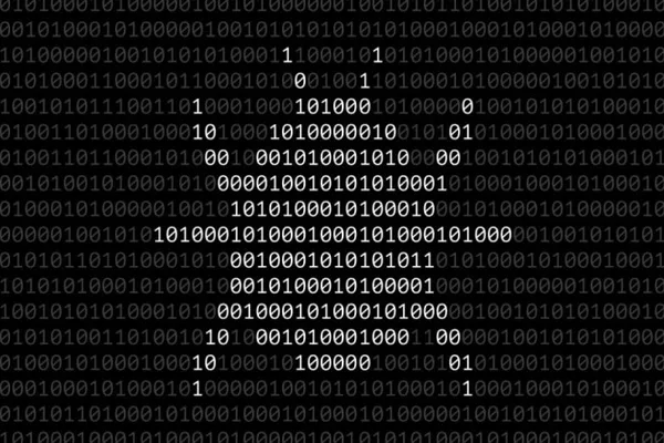 Mystery leaker continues to release Microsoft zero-day vulnerabilities