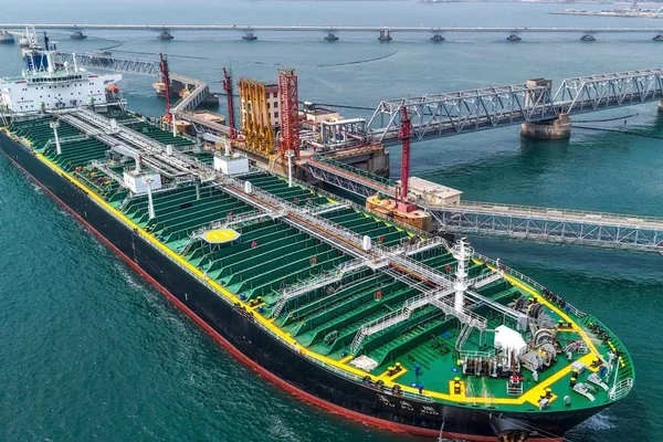 China's crude oil demand to peak this year amid EV adoption
