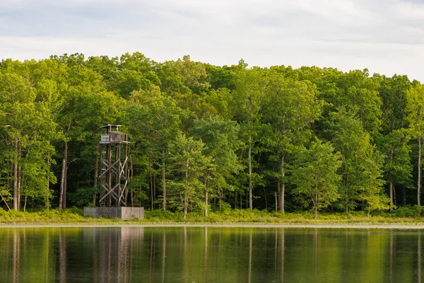 NASA transfers Maryland land to US Fish and Wildlife Service