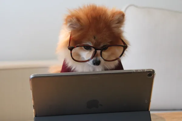 Eugene Yan 使用 Python 和 Actions 自动化 GitHub Profile README 更新