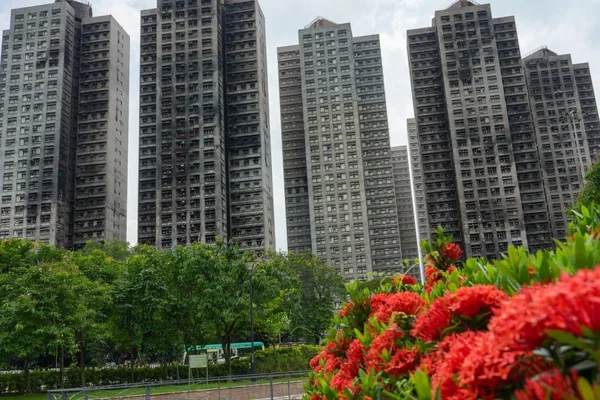 Hong Kong Tai Po fire inquiry nears conclusion with closing submissions