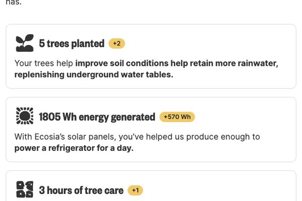 Ecosia gains users with privacy-focused, tree-planting search