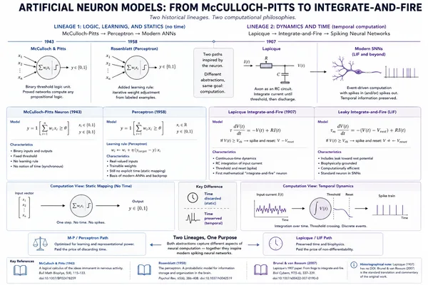 Two historical lineages in neuron modeling: deep learning vs. spiking neural networks