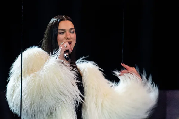 Dua Lipa 起诉三星，索赔 1500 万美元，指控其未经授权使用肖像