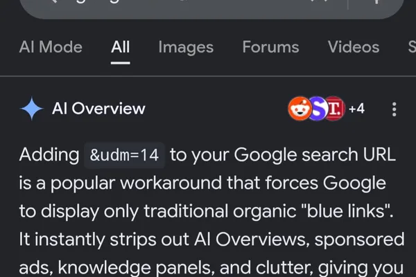 User criticizes Google's "sloppy" AI response