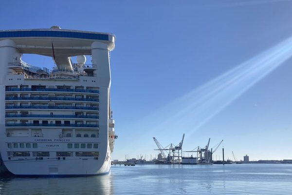 Norovirus outbreak sickens over 100 on Caribbean Princess cruise