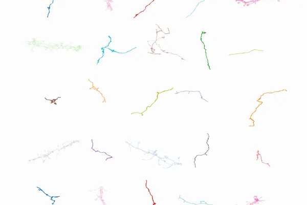 Google AI uses synthetic neurons to speed up brain mapping