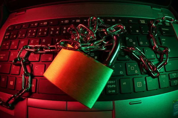 Ransomware negotiator sentenced to 70 months for scamming victims