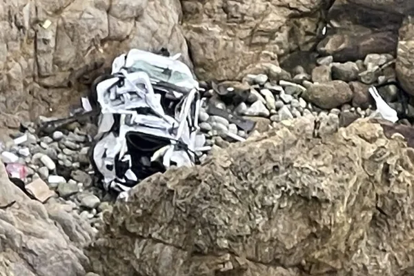 Charges dropped against dad who drove Tesla off cliff after mental health treatment