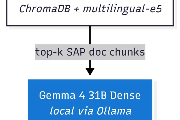 Gemma 4 31B 在 SAP 代码审计中标记的风险高于 E4B