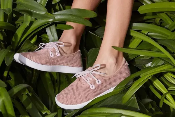 Allbirds pivots to AI, sees 300% stock surge