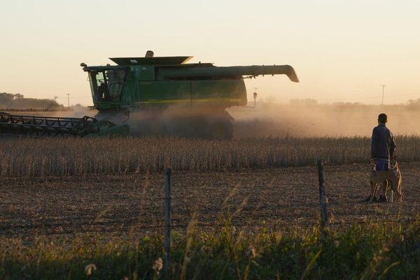 US farmers seek concrete soybean guarantees from China amid trade war concerns
