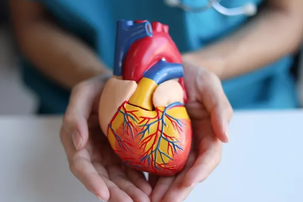 Chinese artificial heart pump gains FDA approval for US clinical trials