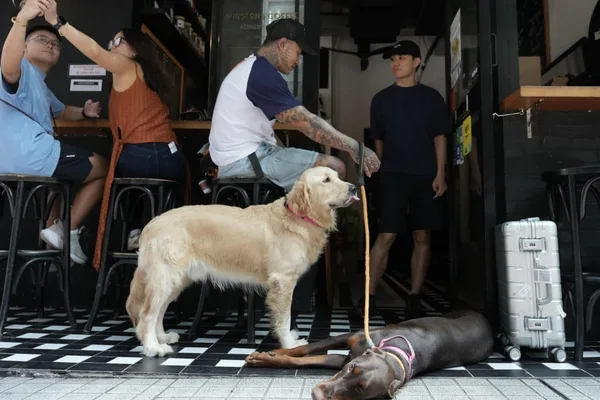 Hong Kong dog-friendly restaurants face menu, layout rules