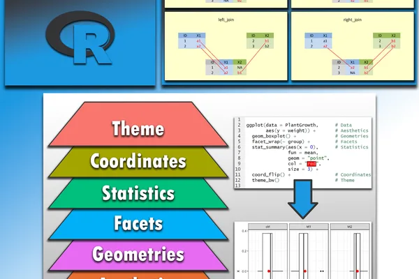 Learn R programming to transform data work, Statistics Globe Hub offers modules