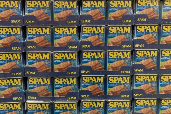 Author: Tech CEOs and politicians won't solve spam