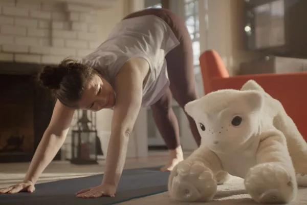 Roomba founder unveils 'Familiar' companion robot to support healthy habits