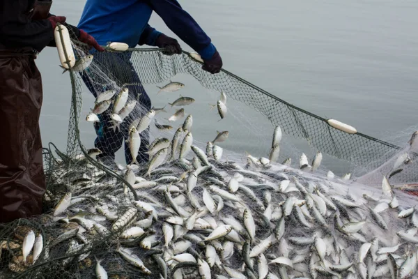 德州数据泄露事件暴露300万猎人和垂钓者的个人信息