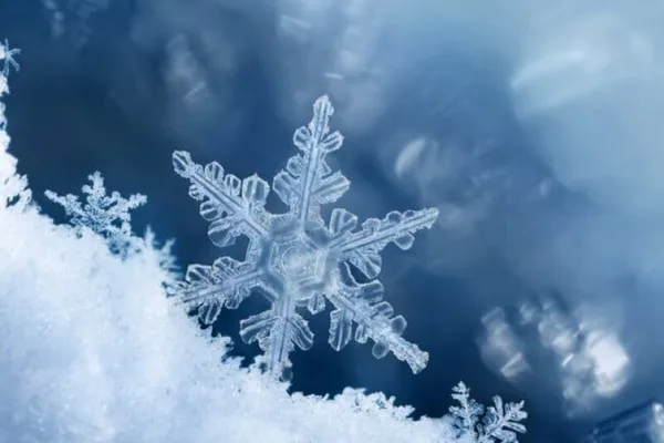 Snowflake Commits $6B to AWS Graviton CPUs and AI Accelerators