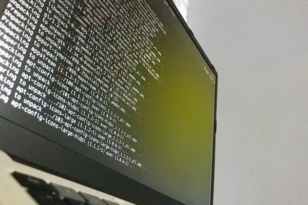 Linus Torvalds slams AI bug reports for overwhelming Linux security list