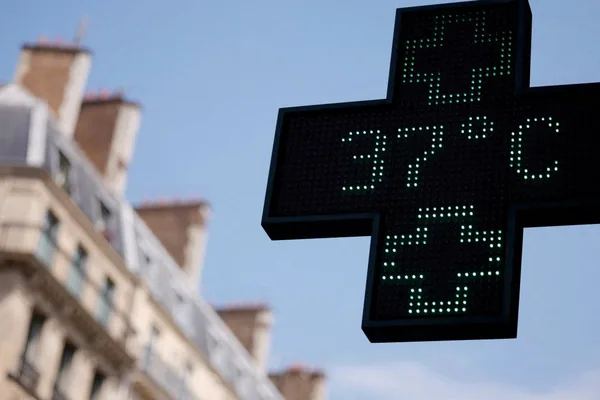 Europe heatwave caused over 10,000 excess deaths, data shows