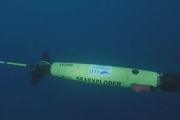 Project CETI uses AI-powered gliders to track sperm whale conversations