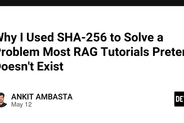Developer uses SHA-256 to optimize offline RAG knowledge base updates