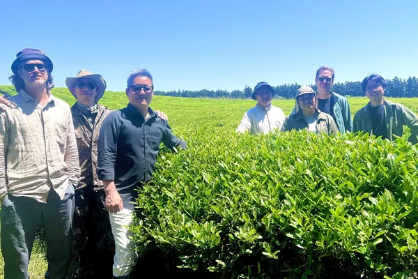 South Korea's Wild Orchard Farmstead pioneers regenerative organic tea farming