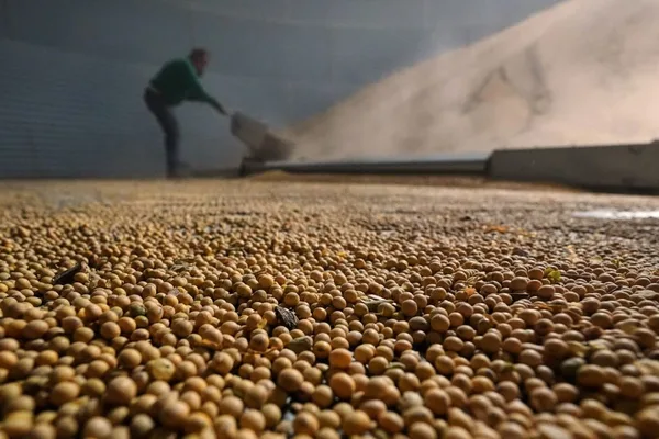 China buys largest US soybean shipment since November, signaling trade pact adherence
