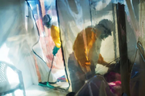Rare Ebola strain spreads undetected in DRC, exposing surveillance gaps