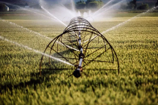 Amazon claims minimal data center water use, targets "water positive" by 2030