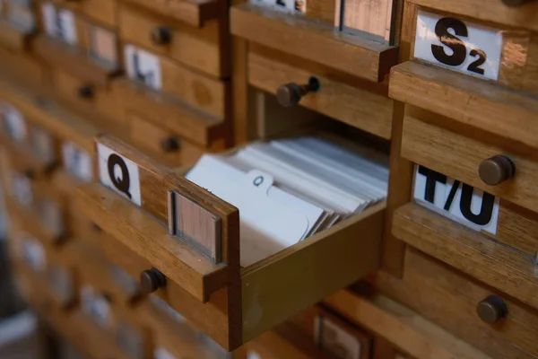 Anthropic's Claude AI introduces "Skills" for automating repetitive tasks