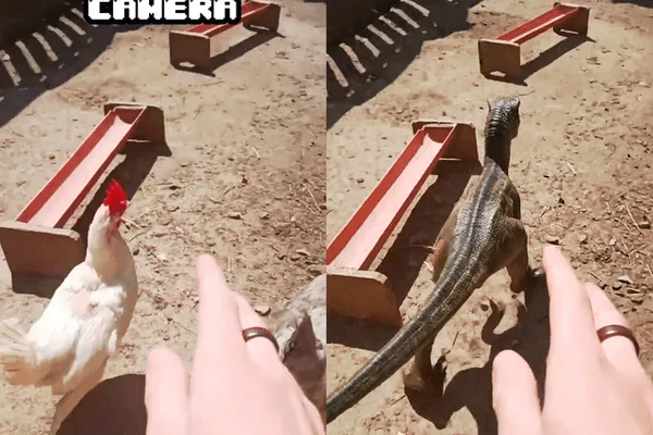 Gemini Omni tested on personal phone footage