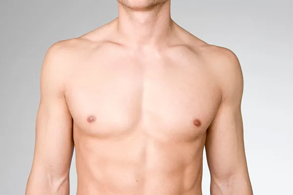 Male nipples persist due to early embryonic development, not natural selection